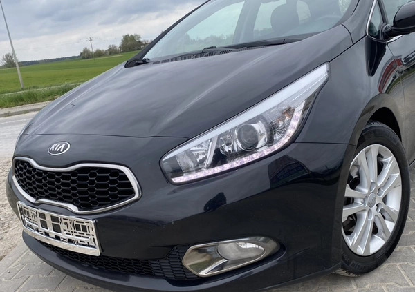 Kia Ceed cena 29900 przebieg: 192585, rok produkcji 2013 z Ustrzyki Dolne małe 781